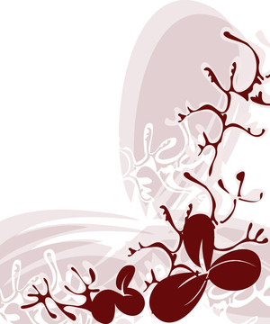 花的