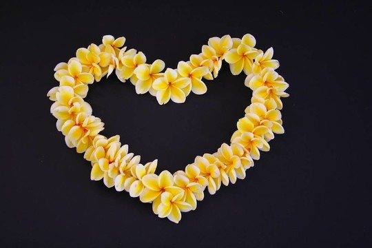 花的心