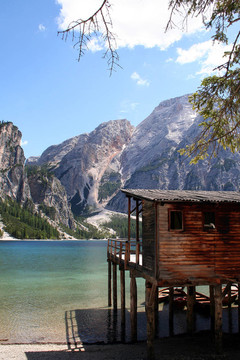 1的脙錄dtirol
