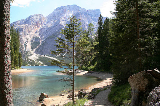 2的脙錄dtirol