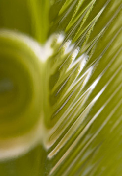 摘要Green Glass