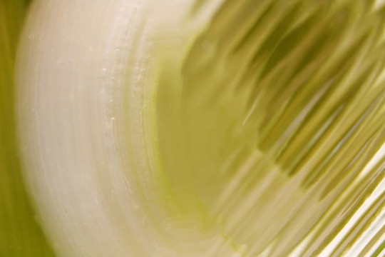 摘要Green Glass