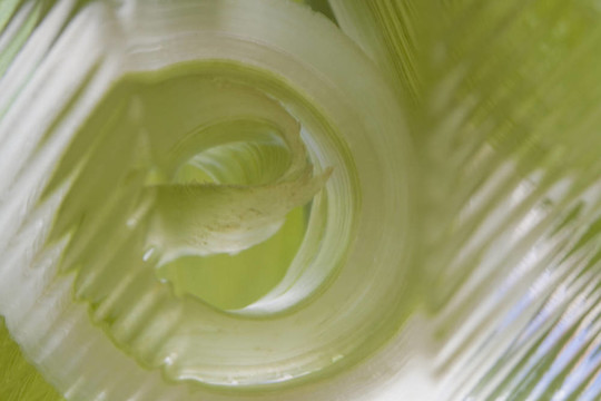摘要Green Glass