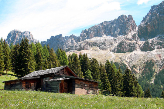 5的脙錄dtirol