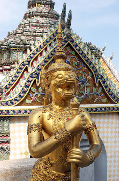 金尊