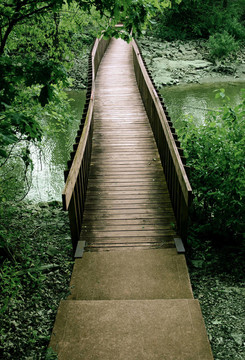 走出樹林的橋