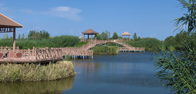 水上公園