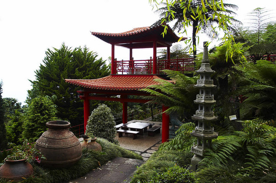 廟