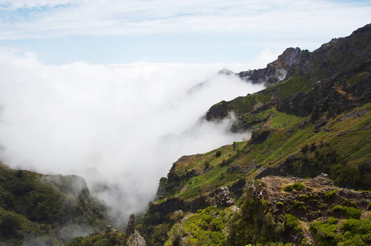 山