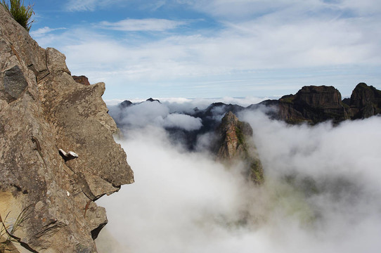 山