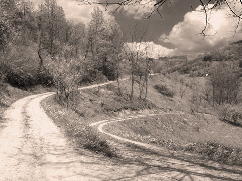 農(nóng)村公路