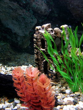 水族館