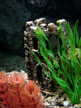 水族館