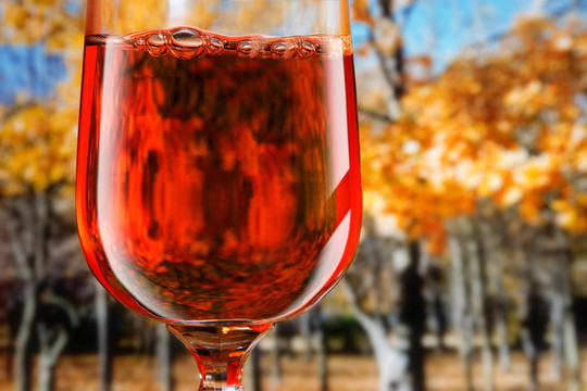 紅葡萄酒