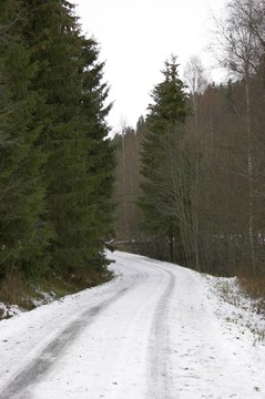 冬天的路