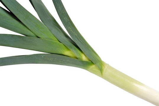 韭菜