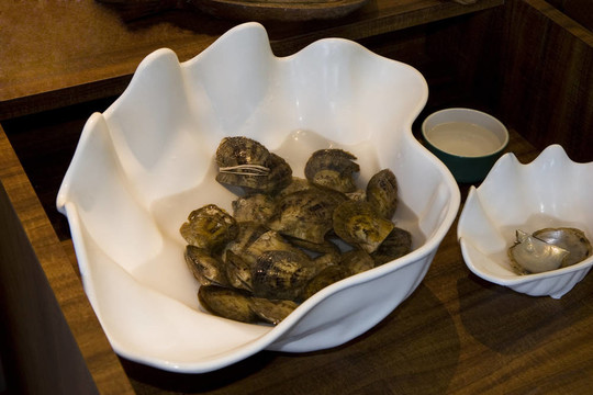 以軟體動物和珀爾板