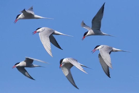 我在說(shuō)話(huà)…