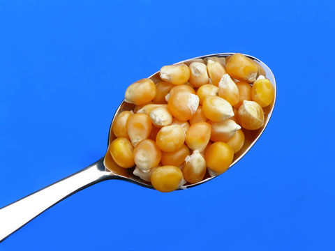 玉米玉米
