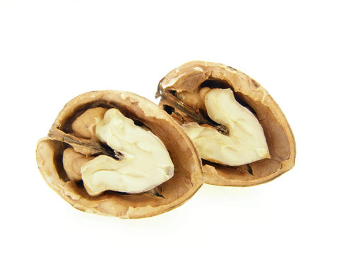 核桃殼和堅(jiān)果