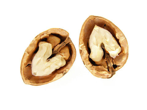 核桃殼和堅(jiān)果