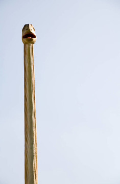 建設馬門溪龍