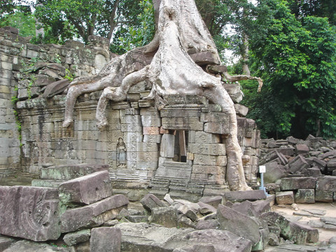 榕樹覆蓋舊的紅色金字塔廟；塔普倫寺；巴戎寺；吳哥寺廟；cambodgia