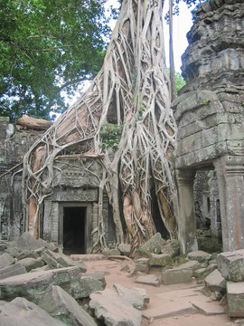 榕樹老毀寺；塔普倫寺；巴戎寺；吳哥湯姆；cambodgia