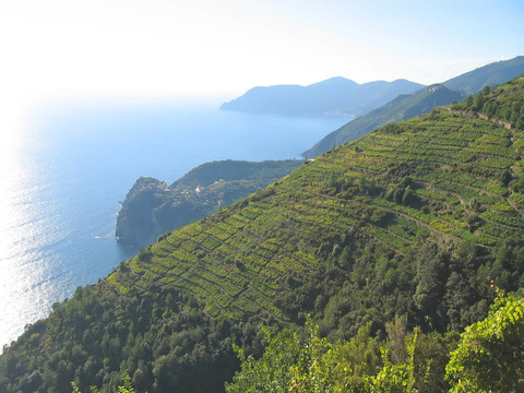 科尼里亞意大利典型村與周圍的山崖城鄉(xiāng)山；五漁村；Italia
