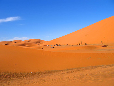 紅褐色的沙丘；Erg Chebbi；梅爾祖卡；摩洛哥