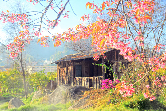 臨滄 風(fēng)光