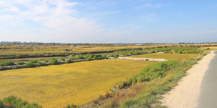 近文化區(qū)道路；再島；法國(guó)；全景