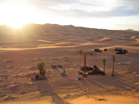 在帳篷營(yíng)地休息的駱駝上沙丘的日落；Erg Chebbi；梅爾祖卡；摩洛哥