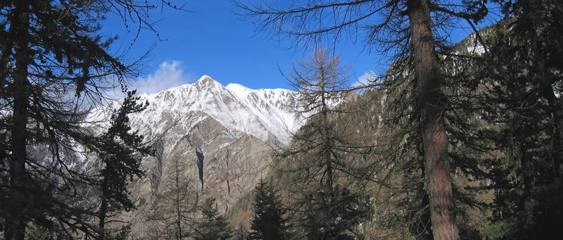 高山和森林；Les Orres阿爾卑斯山脈；法國(guó)；全景圖；