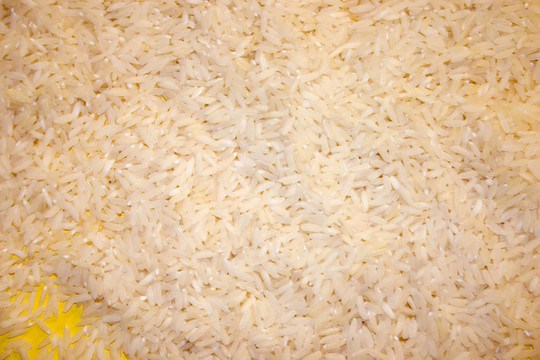 背景Rice