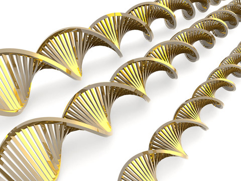 金色的DNA