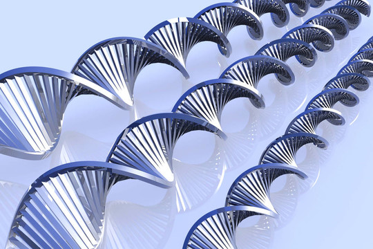 金屬DNA