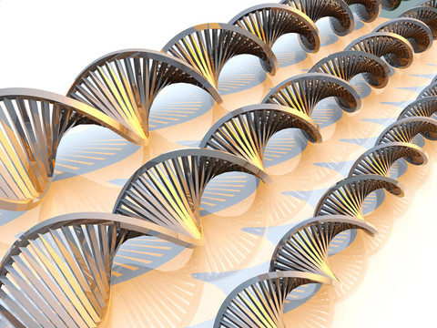 金色的DNA
