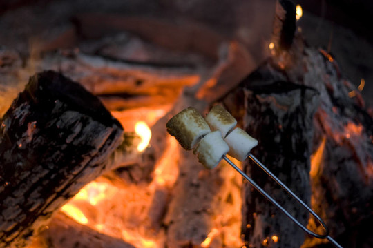 marshmellow