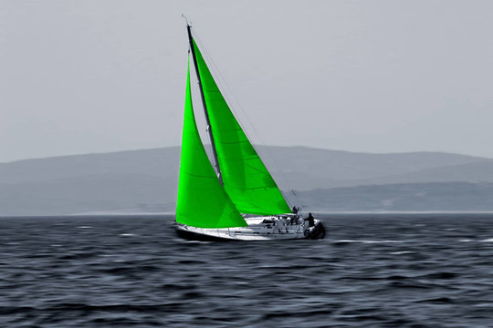 綠色風(fēng)能生態(tài)