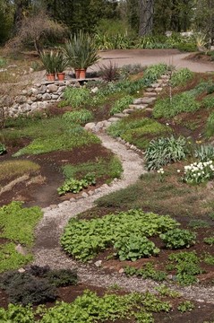 植物園