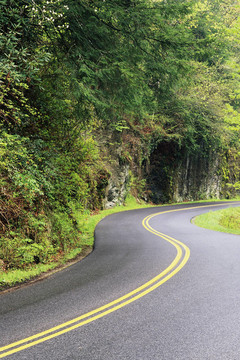 蜿蜒的道路