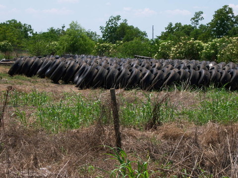 舊輪胎領(lǐng)域