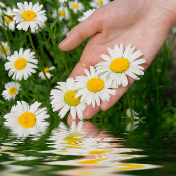 花