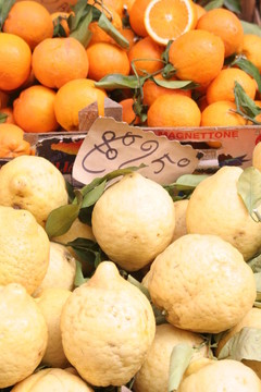特寫(xiě)；柑橘；檸檬
