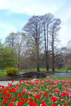 Spring樹林墓園