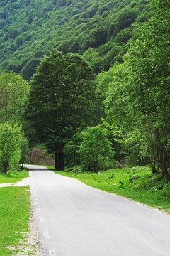 山路