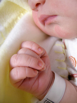 新生的嬰兒