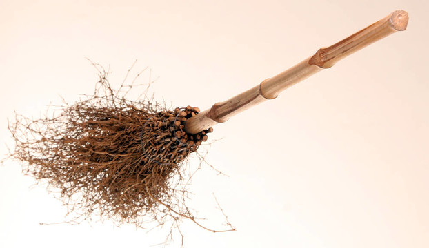 broom2