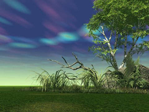 天空